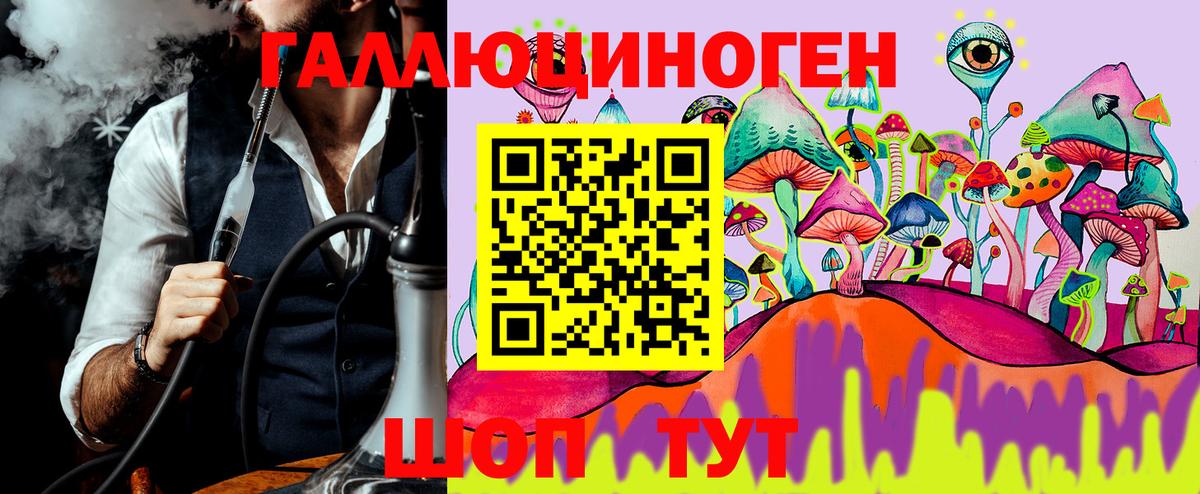 Псилоцибиновые грибы GOLDEN TEACHER Новокуйбышевск