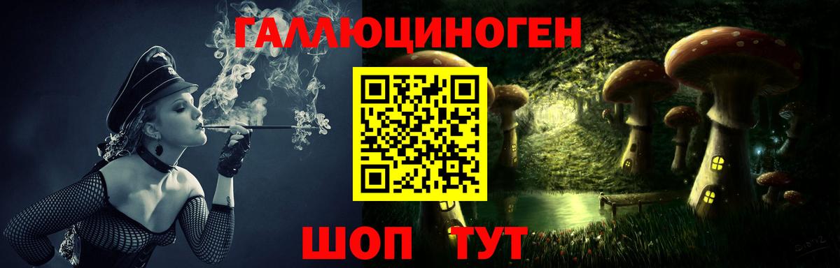 Новокуйбышевск  Псилоцибиновые грибы Psilocybe  Вход с VPN  Псилоцибиновые грибы MAGIC MUSHROOMS 